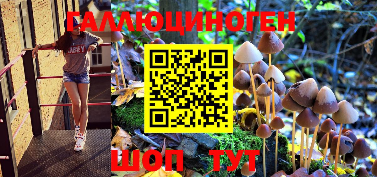 Псилоцибиновые грибы GOLDEN TEACHER Заречный